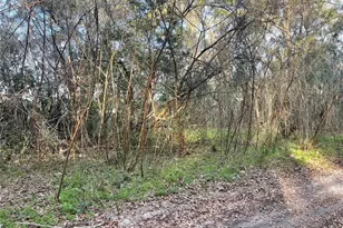 0 NW 17th St, Ocala, FL 34482 - Photo 1