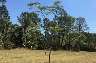 2370 Thacker Trail, Kissimmee, FL 34747 - Photo 1