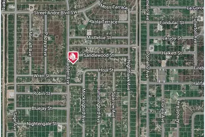 3217 Madden Avenue SW, Palm Bay, FL 32908 - Photo 1