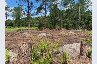 2101 W Frostproof Road, Frostproof, FL 33843 - Photo 1