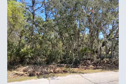 Rainbow Court, Poinciana, FL 34759 - Photo 5