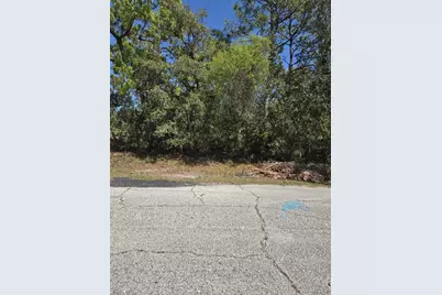 Rainbow Court, Poinciana, FL 34759 - Photo 1