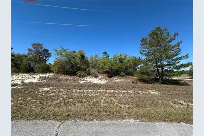 1386 Homosassa Drive, Kissimmee, FL 34759 - Photo 3