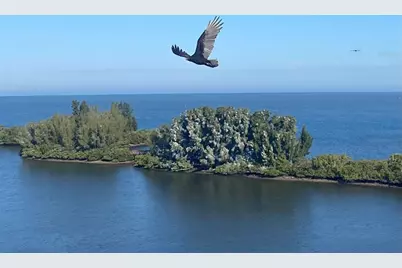 6035 Sea Ranch Drive #511, Hudson, FL 34667 - Photo 45