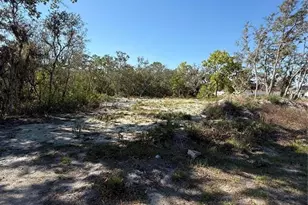 449 Naples Ct, Kissimmee, FL 34759 - Photo 5