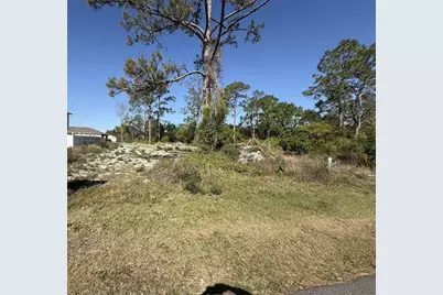 1302 Congo Court, Kissimmee, FL 34759 - Photo 3