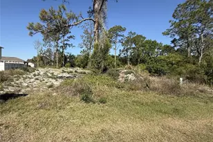 1302 Congo Ct, Kissimmee, FL 34759 - Photo 1