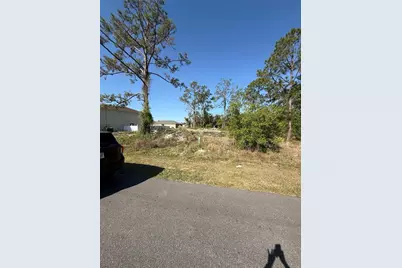 1302 Congo Court, Kissimmee, FL 34759 - Photo 3