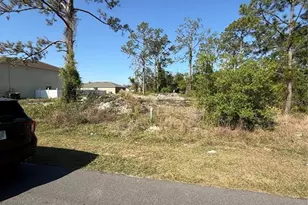 1302 Congo Ct, Kissimmee, FL 34759 - Photo 3