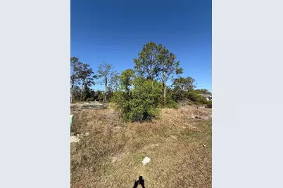 1302 Congo Court, Kissimmee, FL 34759 - Photo 7