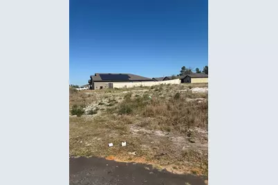 17 Larch Lane, Kissimmee, FL 34759 - Photo 3