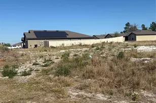 17 Larch Ln, Kissimmee, FL 34759 - Photo 3