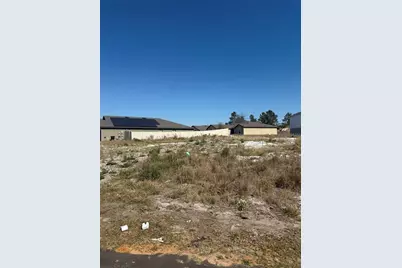 17 Larch Lane, Kissimmee, FL 34759 - Photo 5