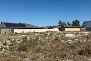 17 Larch Ln, Kissimmee, FL 34759 - Photo 5