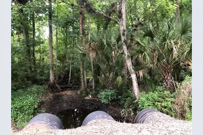 Keefer Trail, Kissimmee, FL 34747 - Photo 5