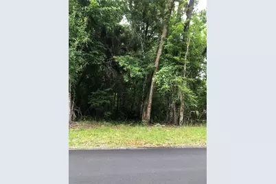 Keefer Trail, Kissimmee, FL 34747 - Photo 7