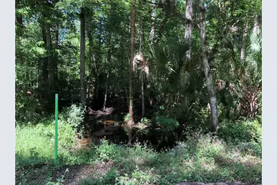 Keefer Trail, Kissimmee, FL 34747 - Photo 3