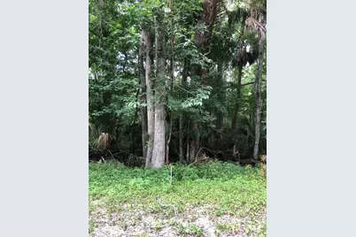 Keefer Trail, Kissimmee, FL 34747 - Photo 3