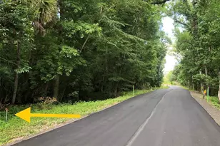 Keefer Trail, Kissimmee, FL 34747 - Photo 1