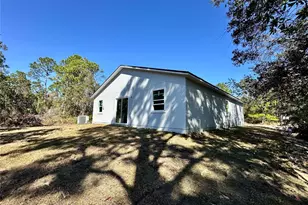 1341 Congo Ct, Kissimmee, FL 34759 - Photo 13