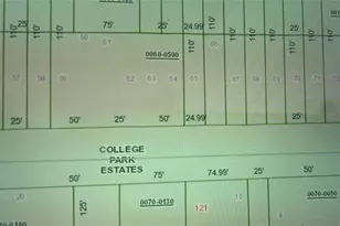 N/A, Interlachen, FL 32148 - Photo 1