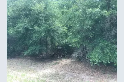 10161 N Dyal Drive, Citrus Springs, FL 34434 - Photo 1