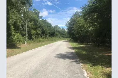 10161 N Dyal Drive, Citrus Springs, FL 34434 - Photo 3