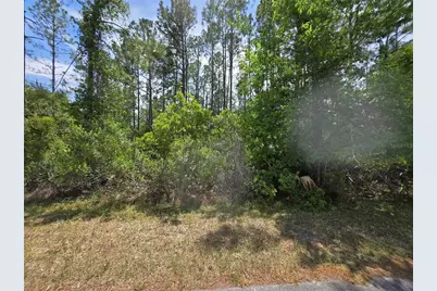 00 W Bluebell Avenue, Eustis, FL 32736 - Photo 3