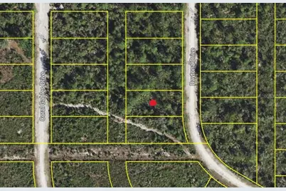 Daytona Drive, Indian Lake Estates, FL 33855 - Photo 1