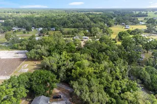 6005 Ike Smith Rd, Plant City, FL 33565 - Photo 41