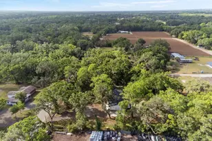 6005 Ike Smith Rd, Plant City, FL 33565 - Photo 45