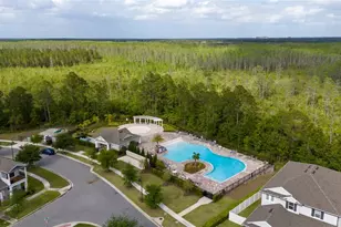 11162 Hanlon Ter Aly, Winter Garden, FL 34787 - Photo 37