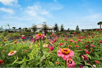 5965 Shorebird Branch, Land O Lakes, FL 34638 - Photo 53