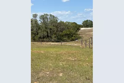 645 Dicks Road, Babson Park, FL 33827 - Photo 5