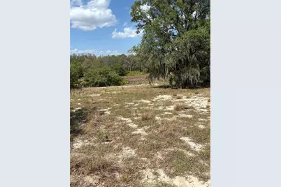 0 Dicks Road, Babson Park, FL 33827 - Photo 1