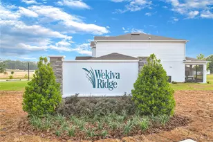 3765 Deer Ridge Dr, Mount Dora, FL 32757 - Photo 3