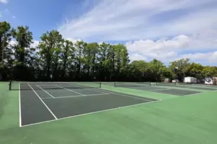 1407 Water Lilly Ln, Kissimmee, FL 34744 - Photo 99