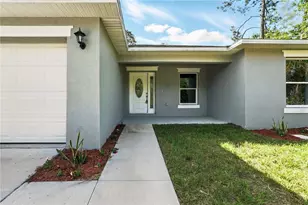 225 Starling Ct, Kissimmee, FL 34759 - Photo 3