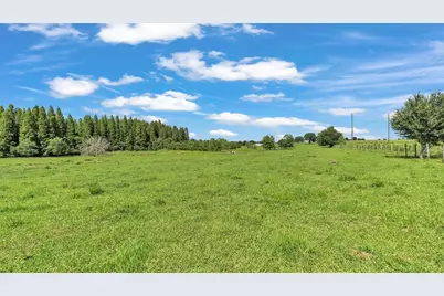 8450 Alturas Babson Park Cutoff Road, Bartow, FL 33830 - Photo 7