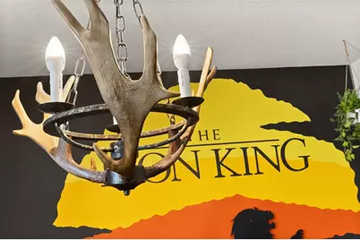 420 Burma Street, Kissimmee, FL 34747 - Photo 39