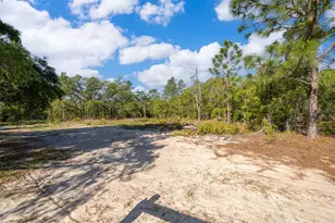 3178 W Deltona Blvd, Dunnellon, FL 34433 - Photo 39