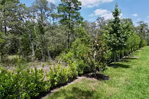 1425 Serendipity Ln, Clermont, FL 34714 - Photo 73