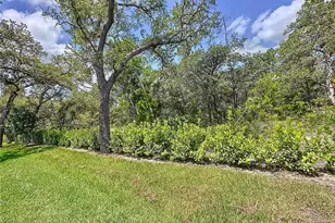 1425 Serendipity Ln, Clermont, FL 34714 - Photo 71