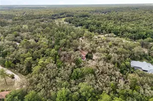 8310 Happy Trails, Kissimmee, FL 34747 - Photo 41