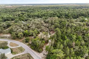 8310 Happy Trails, Kissimmee, FL 34747 - Photo 43