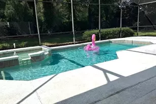 401 Chinahill Ct, Apopka, FL 32712 - Photo 19