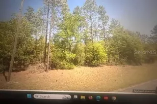 0 SW 207 Ct, Dunnellon, FL 34431 - Photo 1