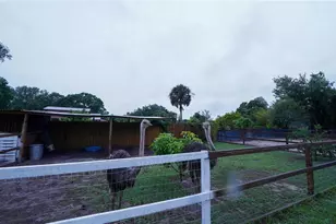 2851 Granada Blvd, Kissimmee, FL 34746 - Photo 53