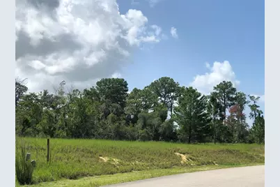 1005 Hawks Landing Drive, Sebring, FL 33875 - Photo 1