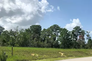 1005 Hawks Landing Dr, Sebring, FL 33875 - Photo 1